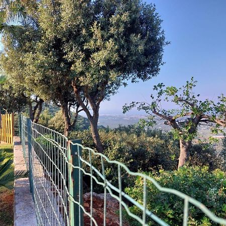 Villa Maremonti Monopoli Exteriör bild